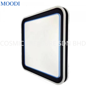 Moodi (2)